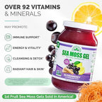 Wildcrafted Irish Sea Moss Gel | Made in USA | Rich in Vitamins & Minerals | Sea Moss Gel Raw | Nutritional Supplement | Elderberry (16 oz)