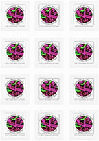 Yogurt Starter Cultures - Pack of 12 Freeze-dried Culture Sachets for Acidophilus Yogurt (12)