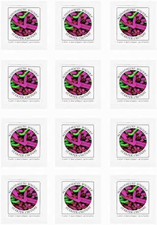 Yogurt Starter Cultures - Pack of 12 Freeze-dried Culture Sachets for Acidophilus Yogurt (12)