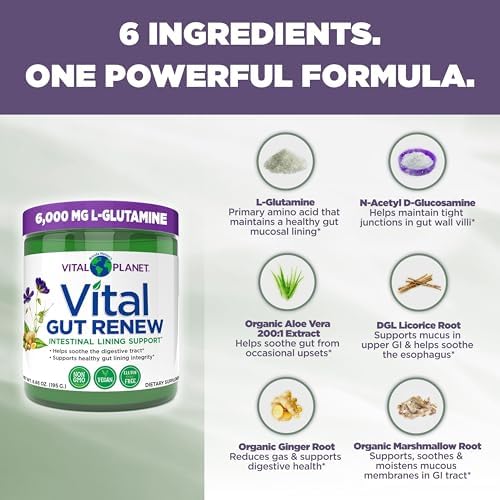 Vital Planet - Vital Gut Renew Powder Supplement for Leaky Gut Repair with L-Glutamine, Marshmallow and Ginger Root, DGL Licorice Root and Organic Aloe Vera, L Glutamine 6000mg 6.88 oz