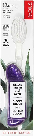 RADIUS Big Brush with Replaceable Head BPA Free & ADA Accepted Toothbrush Designed to Improve Gum Health & Reduce Gum Issues - Right Hand - Purple - Pack of 1