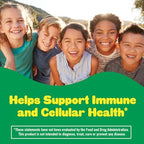 L’il Critters Immune C Daily Gummy Supplement Vitamin for Kids, for Vitamin C, D and Zinc for Immune Support, Orange, Lemon, Strawberry and Cherry Flavors, 190 Gummies (Packaging May Vary)