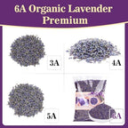 Sukh 3OZ Dried Lavender Flowers - Lavender Buds Sachets Bags for Drawers Closets Fresh Scents Lavenders Sachet Bags Dried Flowers for Patry Birthday Bridal Shower Organic Bulk