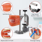 PER4MANCE Dental Typodont Mounting Pole Set (32 Removable Teeth Model Included) - 360° Rotating | Compatible with Kilgore, Columbia, Nissin, and Frasaco| Ideal for Education and Training