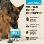 Organic Kelp Powder for Dogs, Dried Sea Kelp Supplement for Thyroid Function, Dental Health, Immune Support, Digestion, Skin & Coat - Iodine Rich - Multivitamin for Cats & Dogs - Made in USA