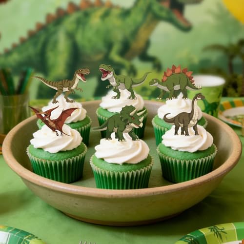 48pcs Dinosaur Cupcake Toppers, Roaring Dino Cupcake Picks Cake Decorations for Kids Boys Dinosaur Theme Birthday Party Decorations Party Favors Baby Shower