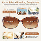 JM 2 Pack Classic Bifocal Reading Glasses Square Stylish Gradient Sunglasses Readers for Women +1.75