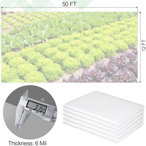 12 x 50 FT Clear Greenhouse Plastic Sheeting, 6 Mil Polyethylene Film Heavy Duty, Water Sun Frost Wind Dust Resistant Winter Hoop House Toughness Plastic Cover for Farming, Gardening, Agriculture,DIY