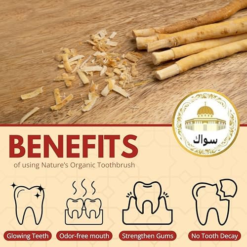 Miswak Sticks for Teeth Natural Toothbrush | مسواك | Siwak Organic Wooden Tooth Brush Oral Teeth Whitener | Vacuum Sealed (Pack of 10)