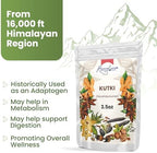 Himalayan Kutki Root (Picrorhiza kurroa) – Sun-Dried, Premium Grade, 3.5oz (100g), Traditional Ayurvedic Herb