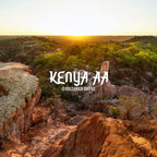 Kenya AA Coffee, 100% Pure, Ground, Fresh Roasted, 16-ounce