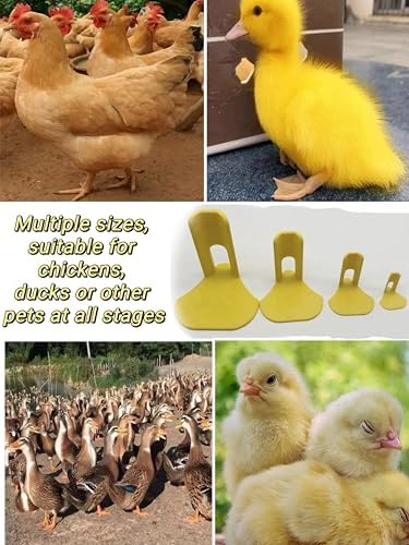 4 Sizes Chicken and Duck Leg Fixing Splints Optional Hobble Splint, Different Growth Stages Targeting The Treatment of Broken Feet Curled Toes Osteoarthritis Plantar Warts and Bumble Foot