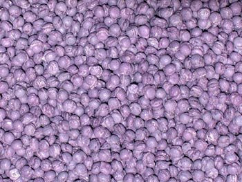 Millions Blackcurrant 250g / 8.8 ounces