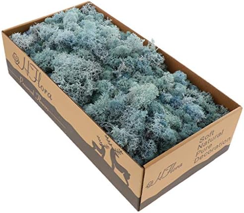 Natural Norwegian Reindeer Moss Preserved Dried Moss Craft Flower Stamen Indoor Outdoor Decoration (Light Blue)