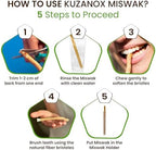 Miswak Sticks for Teeth Pack of 12 with Holder - Natural Miswak Toothbrush Sticks for Fresh Breath - Organic Salvadora Persica Sewak Miswak Sticks Vacuum Sealed