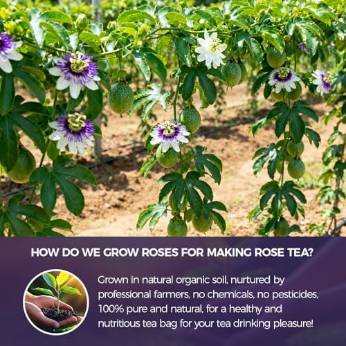 WOTIHA Passion Flower Herb (4.8 oz Bonus Size) - Pure Dried Passion Flower Leaf Cut & Sifted - Natural Passiflora Incarnata for Restful Nighttime & Calm - Non-GMO Loose Leaf Tea - Premium Bulk Value