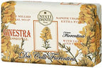 Nesti Dante Dei Colli Fiorentini Triple Milled Vegetal Soap - Broom 250g/8.8oz