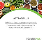 NaturesPlus Herbal Actives Astragalus - 60 Capsules - Immune System Support - Vegan, Gluten Free - 60 Servings