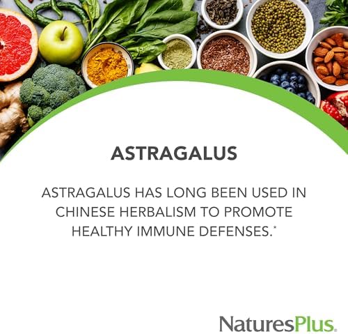 NaturesPlus Herbal Actives Astragalus - 60 Capsules - Immune System Support - Vegan, Gluten Free - 60 Servings