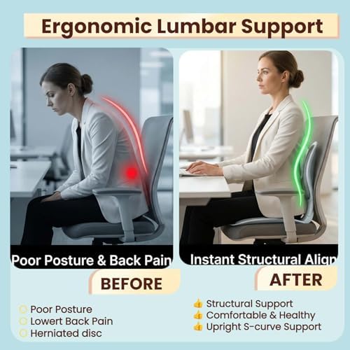 Jarler Foldable Ergonomic Lumbar Support Curve for Office Chair, Portable Posture Corrector Back Curve Seat, Pain Relief (Gray, M)