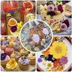50 Pcs 10 Kinds Real Natural Edible Wildflower Cake Toppers & Edible Butterflies Wedding Cake Toppers, Edible Cake Decorations for Birthday, Cake Decorating Kit for Wedding,