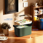 2 Tiers Medicine Organizer - Portable Medicine Storage Box with Handle, Large Capacity Plastic Medical Cabinet, Multipurpose Supply Organizer with Removable Tray, Empty First Aid Kit for Home