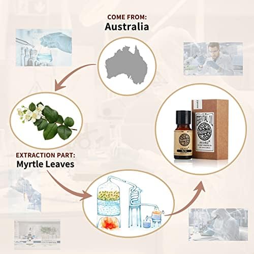 AKARZ Myrtle Essential Oil Natural Organic Pure Premium Therapeutic Myrtol Oil for Skin Body Hair Care,Diffuser, Candle,Soap,Making, DIY,Massage Aroma 0.34 Fl Oz (10ml)