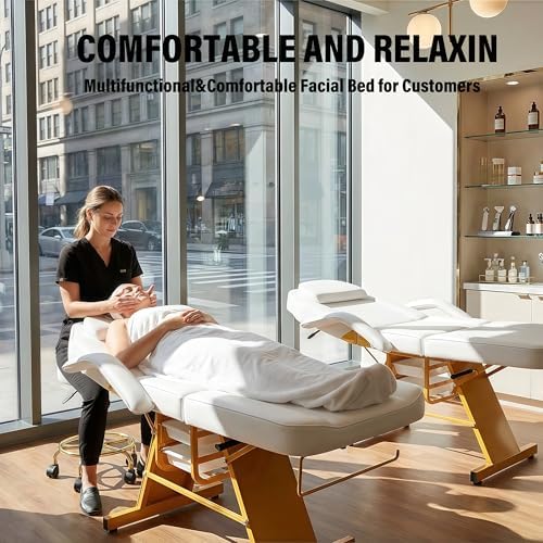 Tattoo Facial Chair for Clients, Multi-Purpose Esthetician Lash Wax Bed with Adjustable Backrest, Professional Beauty Salon Spa Chair for Tattoo Shop Furniture, White Glod