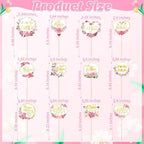 12 Pcs Happy Mothers Day Cupcake Topper, Flower Gold Foil Shape Mother's Day Cake Picks, Best Mom Ever Love You Mom Mother's Day Cake Sticks, Mom Cake Decorations for Mothers Day Party