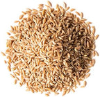 Food to Live Spelt Berries, 1 Pound – A Nutritious Ancient Grain for Healthy Cooking, Baking, or Snacking. Rich in Fiber, Protein, and Iron. Made in USA. Order Whole Hulled Wheat Seeds in Bulk!