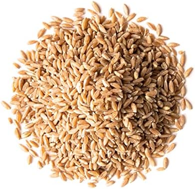 Food to Live Spelt Berries, 1 Pound – A Nutritious Ancient Grain for Healthy Cooking, Baking, or Snacking. Rich in Fiber, Protein, and Iron. Made in USA. Order Whole Hulled Wheat Seeds in Bulk!