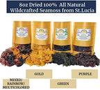 Wildcrafted Sea Moss | Gold - Purple - Green - Mixed | 100% Natural Irish Moss from St.Lucia | Mineral-Rich Superfood | 8oz Sun-Dried Moss | NO Preservatives NO Chemicals
