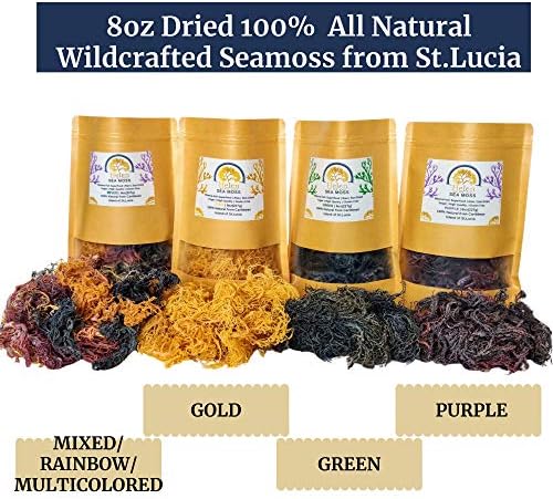 Wildcrafted Sea Moss | Gold - Purple - Green - Mixed | 100% Natural Irish Moss from St.Lucia | Mineral-Rich Superfood | 8oz Sun-Dried Moss | NO Preservatives NO Chemicals