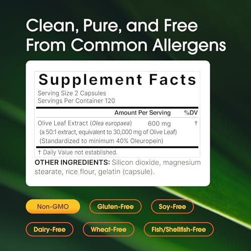 NatureBell Olive Leaf Extract - 240 Capsules - High Strength 50:1 Concentrated Extract with Oleuropein - Immune, Heart & Circulation Support*