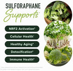 50MG Sulforaphane Supplement from Broccoli Sprouts | NRF2 Activation, Cellular Health & Immune Support | Glucoraphanin, Myrosinase & Antioxidants | Third-Party Tested | 60 Broccoli Seed Microbeadlets