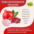 Pomegranate Juice Powder - Freeze Dried Organic Pomegranate Fruit Juice Concentrated Antioxidants & Electrolytes - Instant Drink Mix Powder for Hydration, Flavoring, Sugar Free 6 oz (Pack of 1)