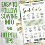 Seed Needs Zucchini Seeds for Planting Black Beauty Summer Squash - Non-GMO, Heirloom & Untreated - Prolific Yields of Delicious Zucchinis in a Home Grown Outdoor Vegetable Garden (1 Pack)