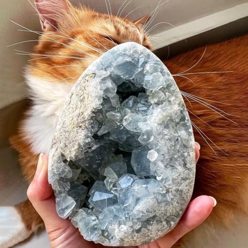 0.88-1.8lb Natural Celestine Cluster - Blue Quartz Geode for Home & Office Decor - Raw Crystal Healing Stone with Natural Formations