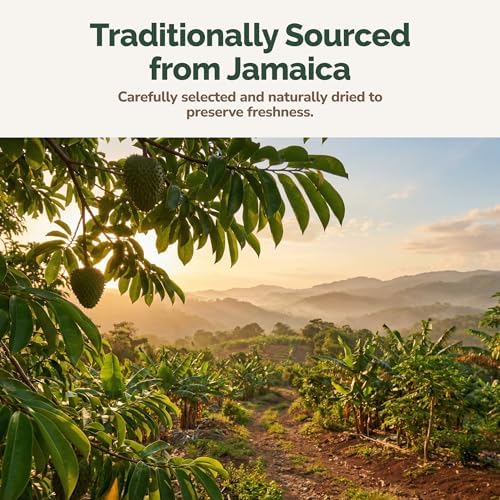 RootNRenew Soursop Leaves (Annona muricata) 3 oz, Whole, Naturally Dried Herbal Tea Leaves from Jamaica