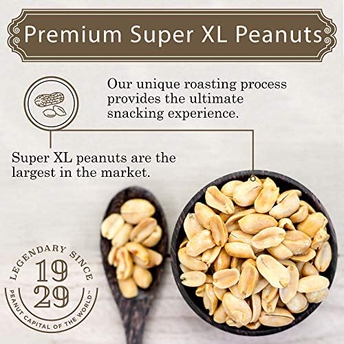 Virginia Diner Double Dipped Chocolatey Covered Virginia Peanuts, Gourmet Natural Gift Tin, 20 Ounce (Pack of 1)