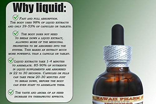 Red Root Alcohol-Free Liquid Extract, Red Root (Ceanothus Americanus) Dried Root Bark Glycerite 2 oz