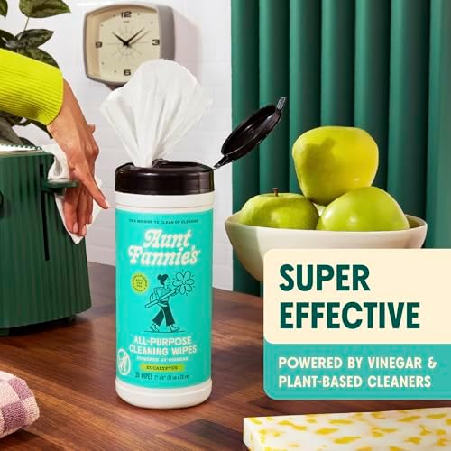 Aunt Fannie's Natural Cleaning Vinegar Wipes, Multipurpose Surface Cleaner, Eucalyptus Scent, 35 Count (Pack of 1)