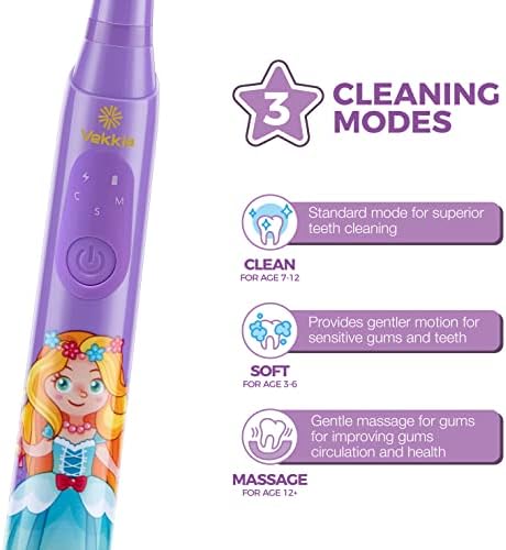 Vekkia Sonic Rechargeable Kids Electric Toothbrush, 3 Modes with Memory, Fun & Easy Cleaning, 24000 Strokes, IPX7 Waterproof, 2-Min Timer for Age 5+, 4 Soft Bristles(Purple)