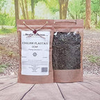 Health Embassy English Plantain Leaf | Plantago Lanceolata L | Herbal Tea (50g)