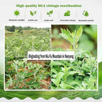 Pure Moxa Sticks, Handmade Pure Mild Moxibustion Rolls for Neck Knee Back Waist, 10pcs/Pack 艾草灸條
