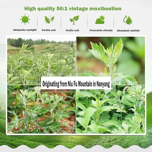 Pure Moxa Sticks, Handmade Pure Mild Moxibustion Rolls for Neck Knee Back Waist, 10pcs/Pack 艾草灸條