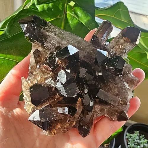 Natural Crystal Smoky Quartz Cluster, Raw Crystal Stone, Irregular Raw Smoky Quartz Stones,Natural Healing Crystal Cluster for Home Decoration Specimen,300~400g