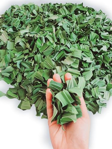 Pandan Leaves 1.5 oz. Dried Pandan Leaves 100% Pure, Pandan Leaf Tea Aromatic Pandanus Leaf Air Dried Natural Fragrant, Sweet and Edible for Desserts, Cooking, Baking, Tea. Natural Dried Pandan Tea