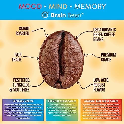Brain Bean Organic Coffee – Smooth Taste & Rich Medium Roast – High Antioxidant & USDA certified organic for Cognitive Support, Mood Enhancement & Toxin Removal - Whole Bean Coffee – 16 oz (1-Pack)