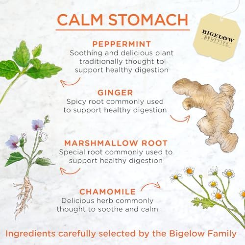 Bigelow Tea Benefits Calm Stomach Ginger Peach Herbal Tea, Caffeine Free, 18 Count (Pack of 6), 108 Total Tea Bags